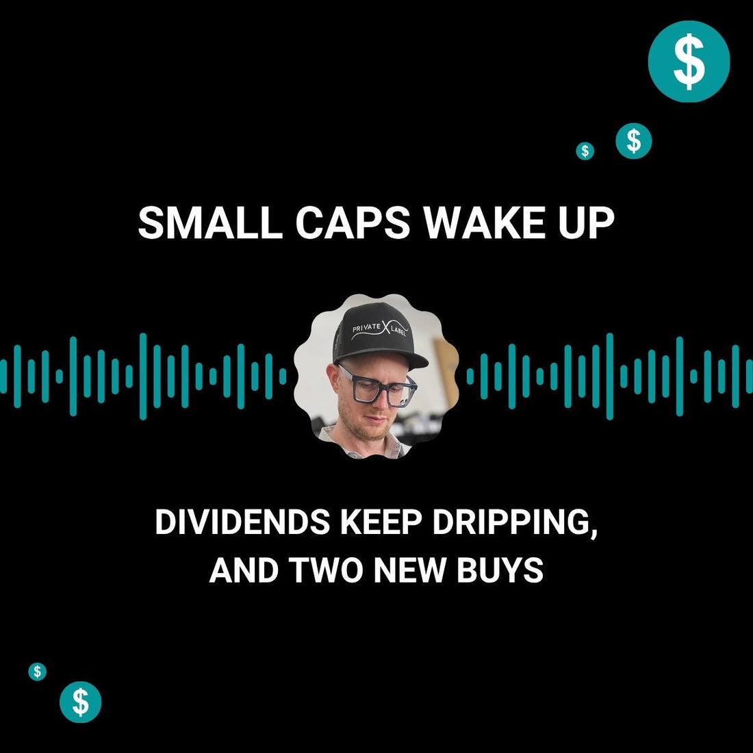 Small Caps Wake Up, Dividends Keep Dripping, and Two New Buys